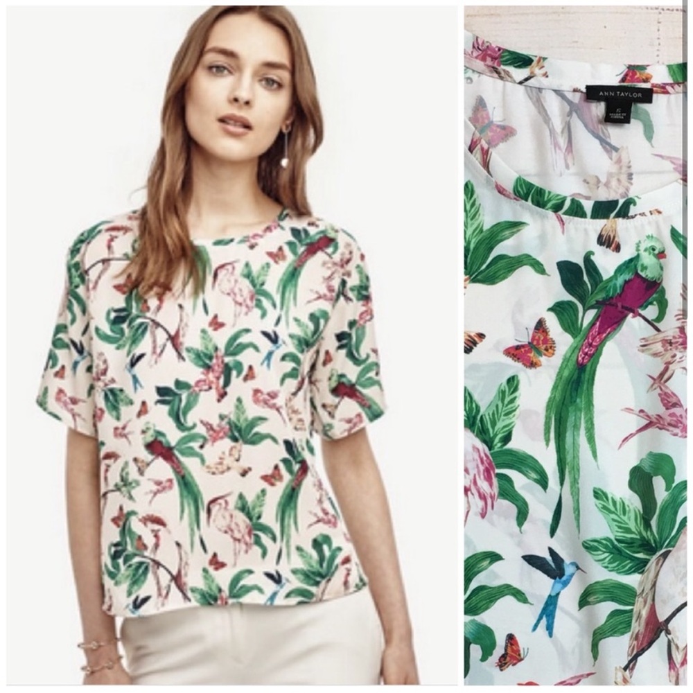 Ann Taylor | Exotic Bird Short Sleeve Blouse Sz XS EUC